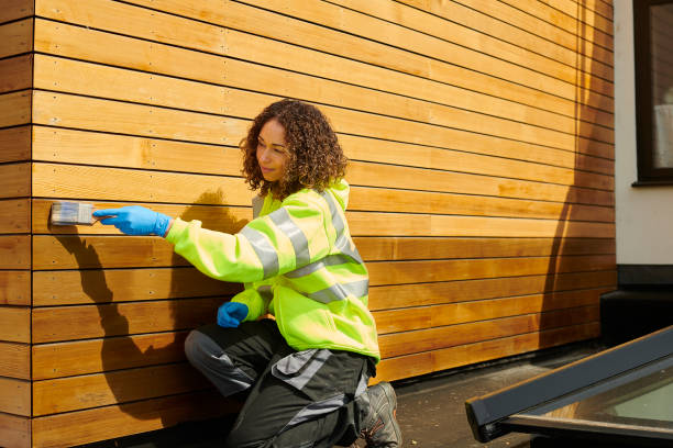 Best Siding Painting and Refinishing  in Century, FL